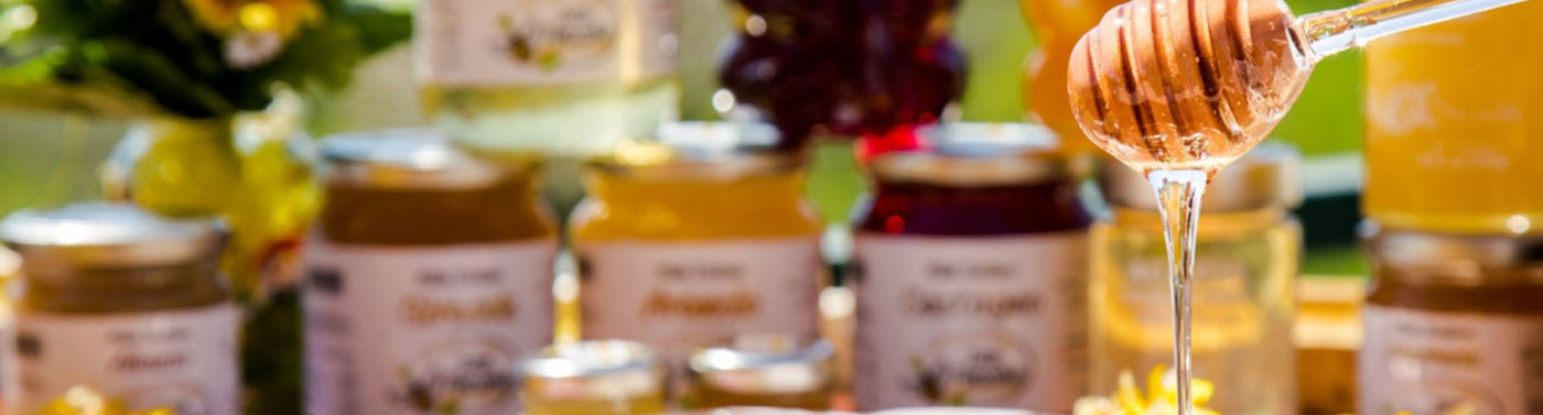 TUTTE LE NEWS E GLI EVENTI DAL MONDO DELLE API - Eventi - Natural Bee TUTTE LE NEWS E GLI EVENTI DAL MONDO DELLE API - Eventi - Natural Bee