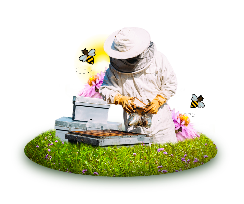 home-banner-section-image.png
